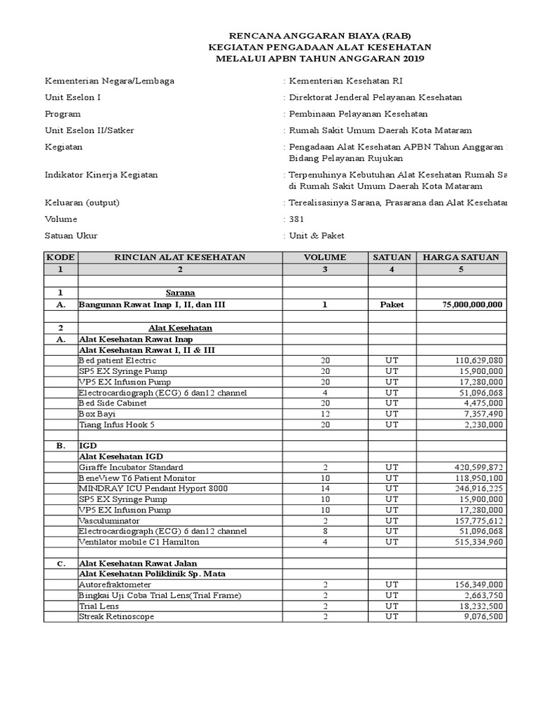 RAB DAK 2019 PBE Kemenkes | PDF | Kesehatan Holistik