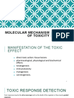 Molecular Mechanisms of Toxicity