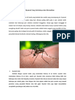 3 Jenis Nyamuk Yang Berbahaya Dan Mematikan