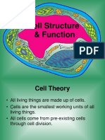 Cell Structure Kgis Grade 11