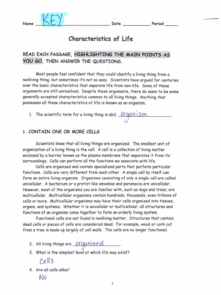 Characteristics of Life Answer Key  PDF Inside Characteristics Of Life Worksheet