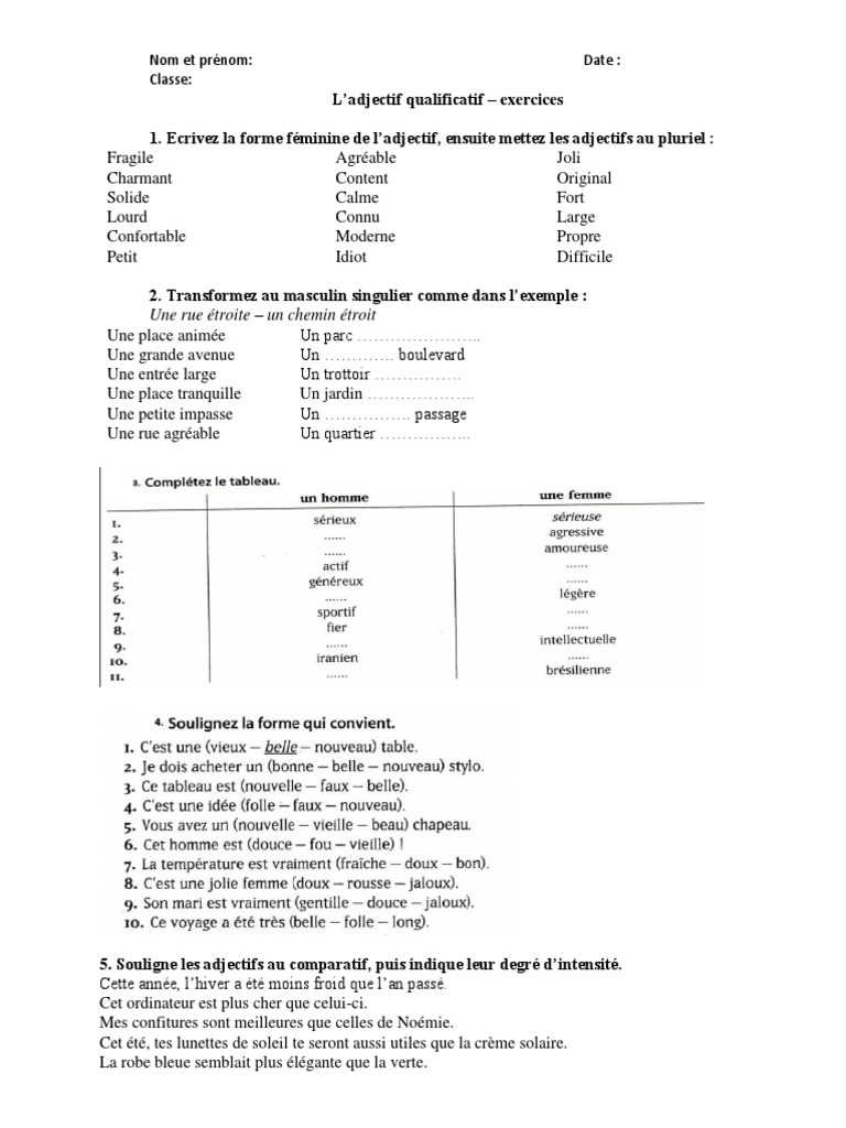L accord Des Adjectifs Exercices Pdf Adjectifs Exercices | PDF