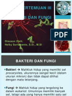 Bakteri Dan Fungi