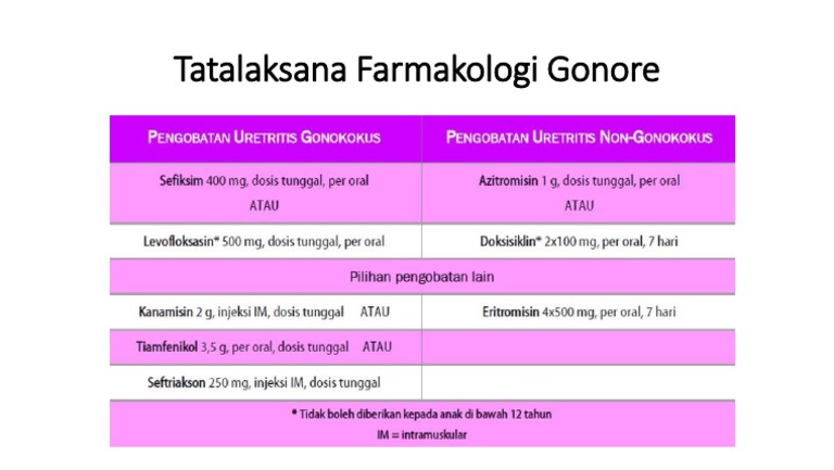 Presentation 6 | PDF