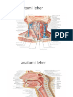 anatomi leher