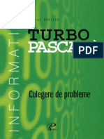 Andrei Braicov Turbo Pascal