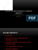 Effector Mechanism of Humoral Immunity