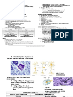 Abustan, Advincula, Apollo, Atendido & Baculo: (Labile Cells - Cell Division)