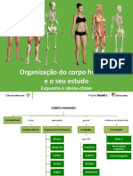 Org CH 9 Resumo