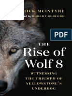 Excerpt From "The Rise of Wolf 8" by Rick McIntyre