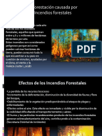 Presentación deforestación.pptx