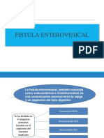 FISTULA-VESICOINTESTINALES.pptx