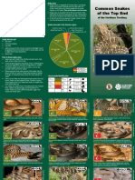 Top End Snake Guide: Identification and Safety TipsTITLE