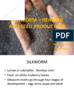 Silk Worm Rearing and Sex Separation