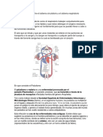 Relación Entre El Sistema Circulatorio y El Sistema Respiratorio