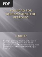 POLUIÇÃO POR DERRAMAMENTO DE PETRÓLEO SLIDE.pptx