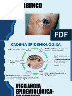 ENFERMEDADES - Peste-Rabia-Leptospirosis-Carbunco