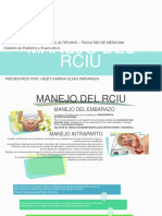 Manejo y Pronostico Del Rciu-Para DR Mendiguri