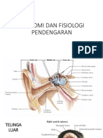 Anatomi Dan Fisiologi THT Uki