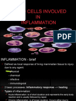 Blood Cells in Inflammation