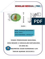 Penyakit Menular Seksual