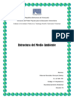 Estructura Del Medio Ambiente