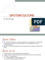Sputum Culture: D. M. M. Lab