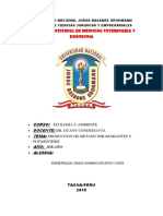 Documents - Tips Caratula Unjbg Tacna