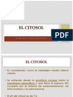 POWER_EL_CITOSOL.pptx