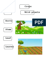 Parts Plants.docx