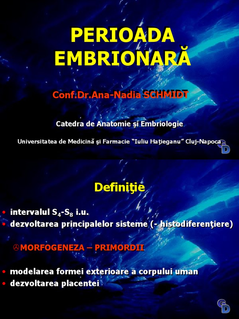 Perioada Embrionara | PDF