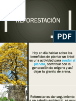 Reforestación