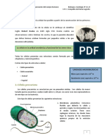 celula2.pdf