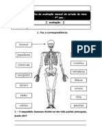 esqueleto.pdf