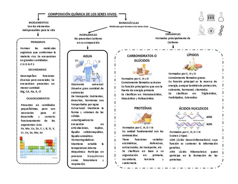Composición Quimica de Los Seres Vivos | PDF | Biomoléculas | Carbohidratos