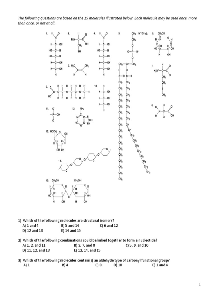 Macromolecule Identification Worksheet | PDF | Biomolecular Structure ...