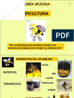 Guion Apicultura 2004.ppt