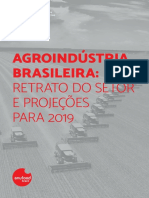 Agroindústria Brasileira - Retrato Do Setor e Projeções para 2019