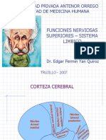 Funciones Nerviosas Superiores - YAN