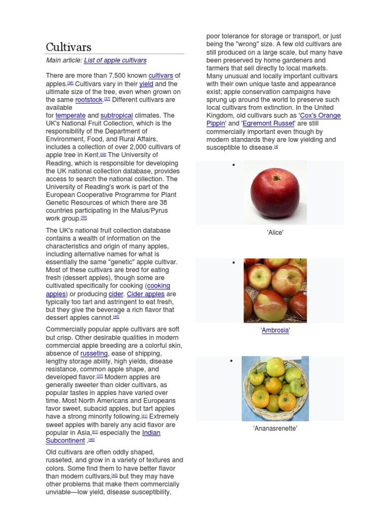 Cultivars: List of Apple Cultivars | PDF | Apple | Vegan Cuisine
