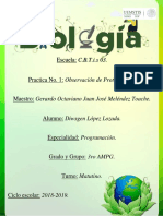 Biologia Practica n1 Observacion Protozoarios