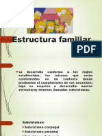 Estructura Familiar Exposicion Final