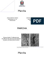 Marcha.pdf