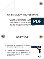 Taller identificacion de habilidades Ocupacionales PACTO_P.ppt