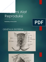 Anatomi Alat Reproduksi