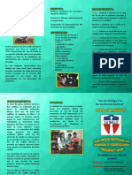 proyecto generador.docx