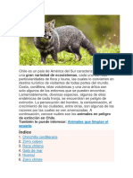 Animales en Peligro de Extincion en Chile