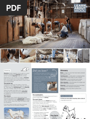 Shearing Sheep