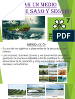 Planeamiento 7 PDF