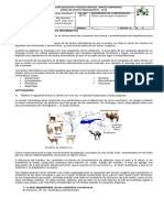 Taller No 13 Grado 7 Texto Informativo PDF